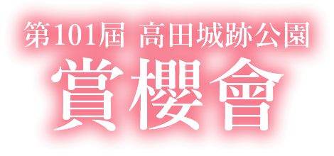 第100屆 高田城跡公園 賞櫻會